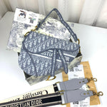 𝐂𝐑𝐒𝐓 𝐃 Oblique Embroidered Saddle Bag