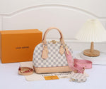 LV Alma Damier Canvas Leather Bag