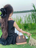 LV Alma Damier Canvas Leather Bag 26cm