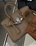 𝐇 Shiny Crocodile Leather Palladium Hardware Bag 25cm