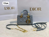CD Lady Dior Cannage Bag
