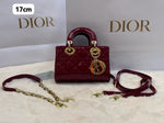 CD Lady Dior Cannage Bag