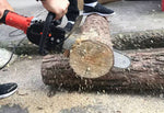 Chainsaw Refit Kit 11.5 Inch - Saadstore