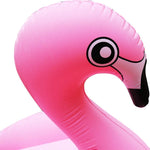 Inflatable Giant Swan Float Pool