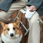 Retractable Dog Leash - Saadstore