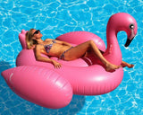 Inflatable Giant Swan Float Pool