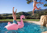 Inflatable Giant Swan Float Pool - Saadstore