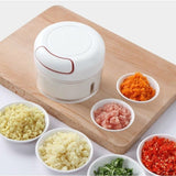 Mini Grinder for Multifunction Seasoning - Saadstore