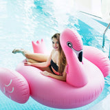 Inflatable Giant Swan Float Pool - Saadstore